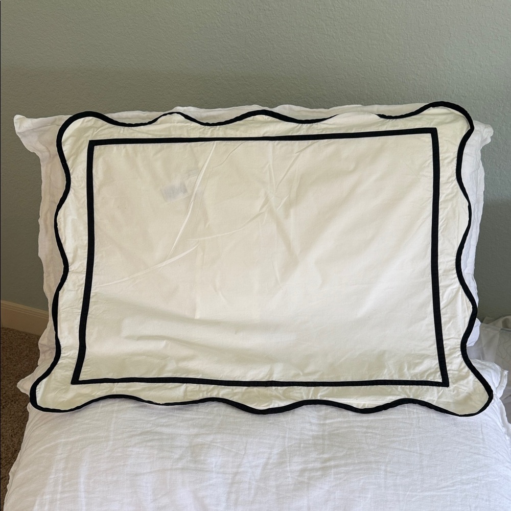 Pottery barn pillow sham- 2 standard size